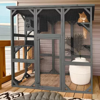 Wooden Outdoor Cat Enclosure: Platforms, House & Roof